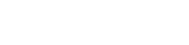 Ostravské účetnictví (Frňka)
